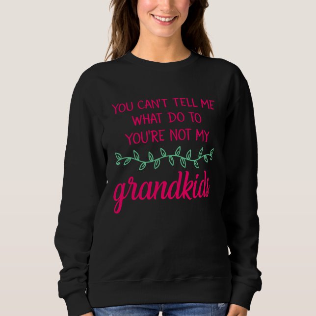 Camiseta Você não pode me dizer o que fazer Você não é minh (Frente)