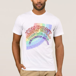 CAMISETA VOCÊ NÃO SABE O QUE ISSO SIGNIFICA, SCRIPTURE RB