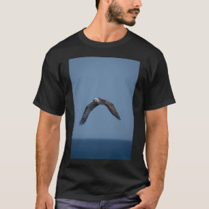 Camiseta Voo Livre - Águia-pescadora Planando sobre o Ocean
