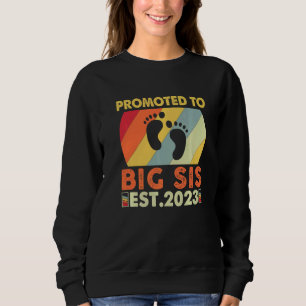 Camiseta Vou Ser Uma Irmã Mais Velha 2023 Promovida a Irmã