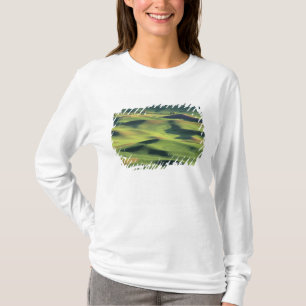 Camiseta WA, Condado de Whitman, Palouse Farmland, vista