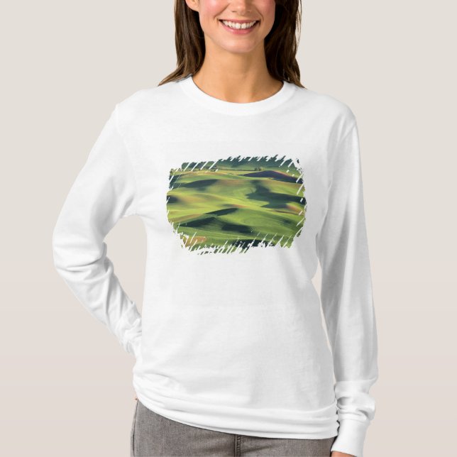 Camiseta WA, Condado de Whitman, Palouse Farmland, vista (Frente)