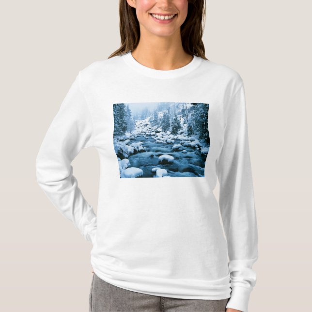 Camiseta WA, Floresta Nacional de Wenatchee, Cascade (Frente)