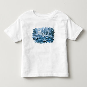 Camiseta WA, Floresta Nacional de Wenatchee, Cascade