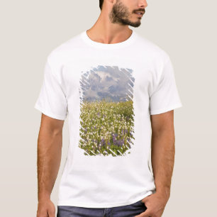 Camiseta WA, Monte Baker Wilderness, Monte Shuksan e