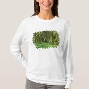Camiseta WA, Olimpiadas NP, Floresta de Chuva Quinault, mus