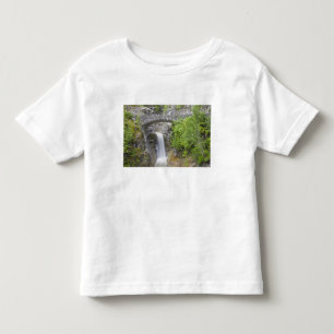 Camiseta WA, Parque Nacional Mount Rainier, Christine Falls