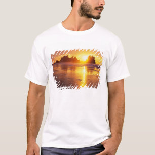 Camiseta WA, Parque Nacional Olímpico, praia Shi Shi ao pôr