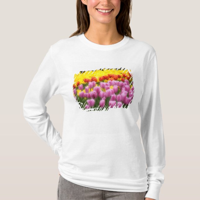 Camiseta WA, Skagit Valley, Roozengaarde Tulip Garden, 2 (Frente)