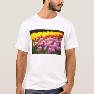 Camiseta WA, Skagit Valley, Roozengaarde Tulip Garden, 2