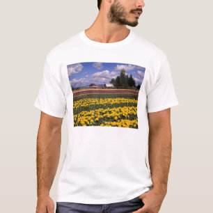 Camiseta WA, Vale do Skagit, Tulipa do Vale do Skagit
