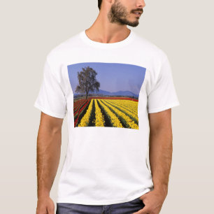Camiseta WA, Vale do Skagit, Tulipa do Vale do Skagit 2