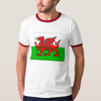 Camiseta Wales
