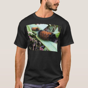 Camiseta Wandering Wooly Bears