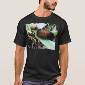 Camiseta Wandering Wooly Bears