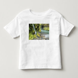 Camiseta Washington, Parque Nacional Olímpico, Sazonal