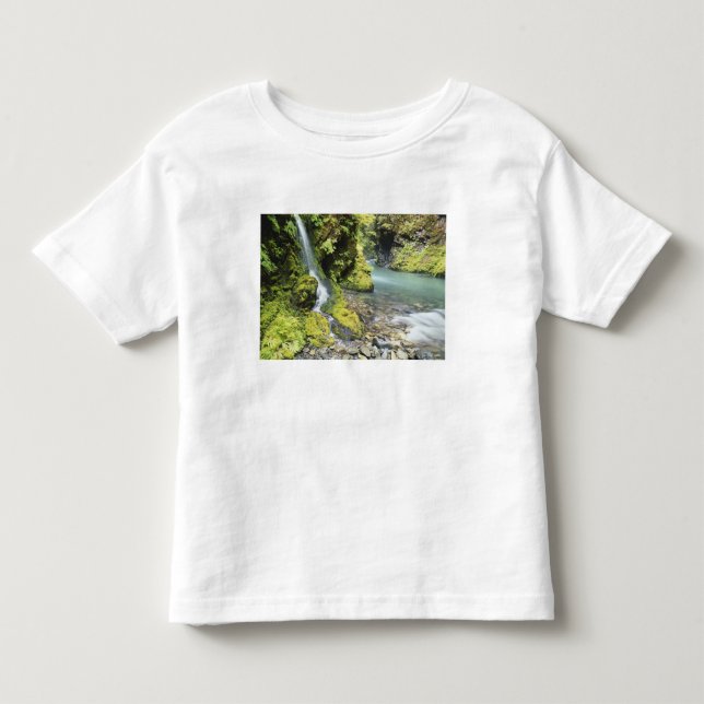Camiseta Washington, Parque Nacional Olímpico, Sazonal (Frente)