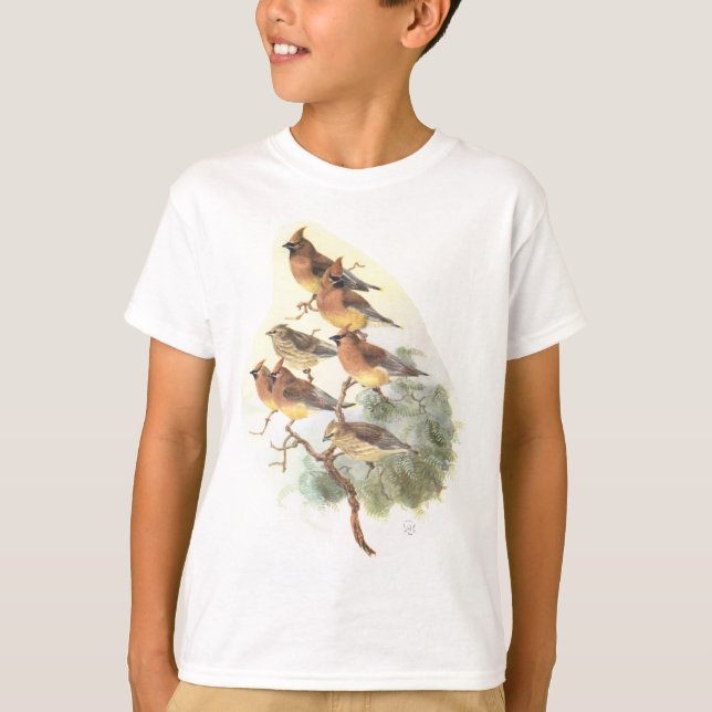 Camiseta waxwing de cedro (Frente)