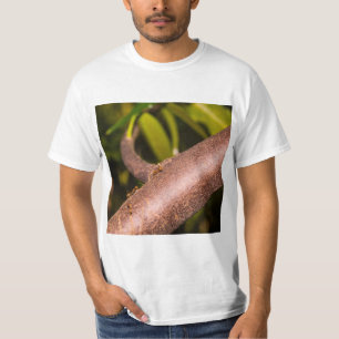 Camiseta Weaver Ants em uma Madeira