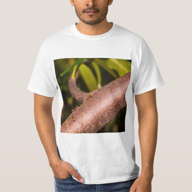Camiseta Weaver Ants em uma Madeira (Frente)