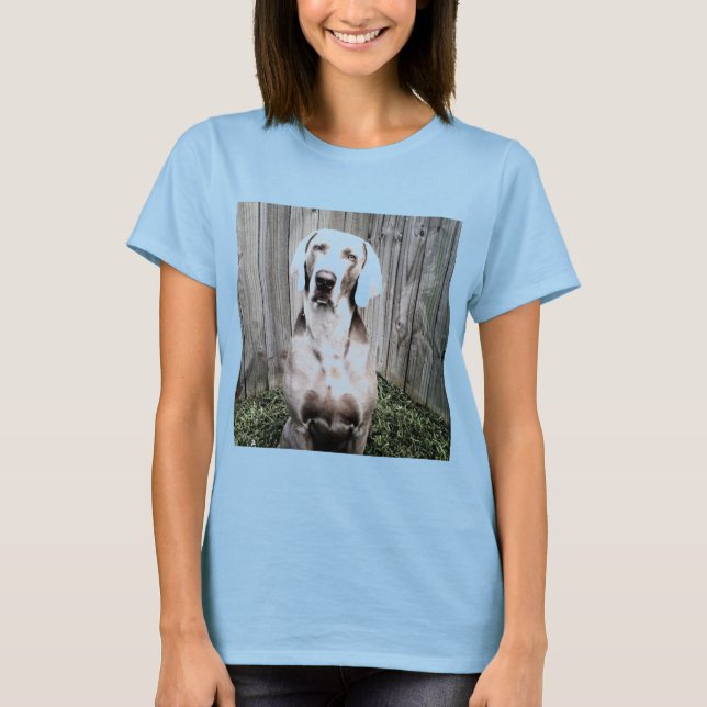 Camiseta Weimaraner (Frente)