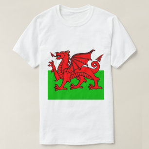 Camiseta Welsh Flag