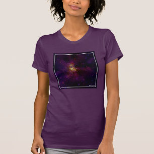 Camiseta Westerlund 2