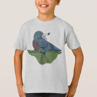 Whio Blue Duck NZ BIRD
