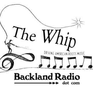 Camiseta Whip Drivers American Roots Music Logo Tee