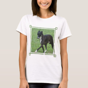 Camiseta Whippet doce