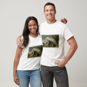 Camiseta White Heron, Egret Excelente, Aves de Audubon da A
