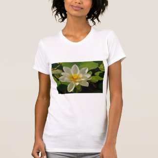 Camiseta White Lotus flowers in a pond