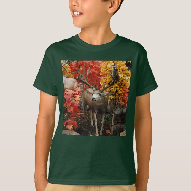 Camiseta Whitetail No Outono (Frente)