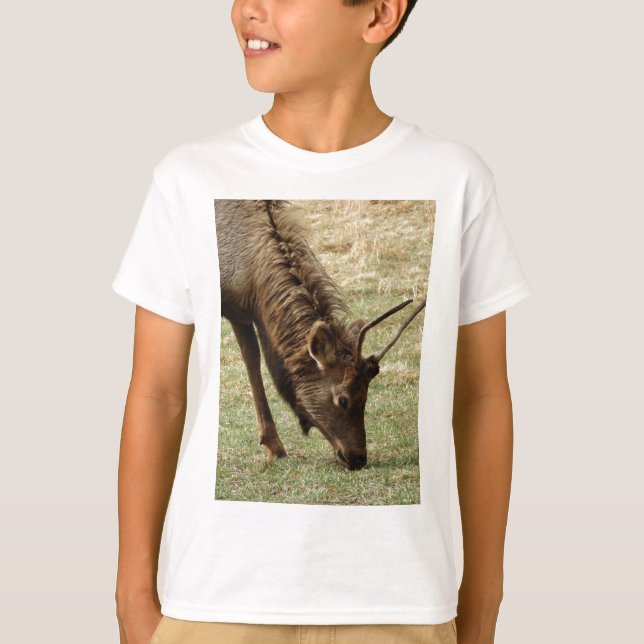 Camiseta Wild Elk (Frente)