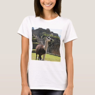 Camiseta Wild Llama Near Ruins