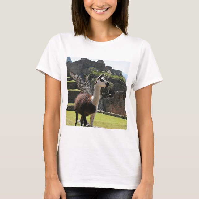 Camiseta Wild Llama Near Ruins (Frente)