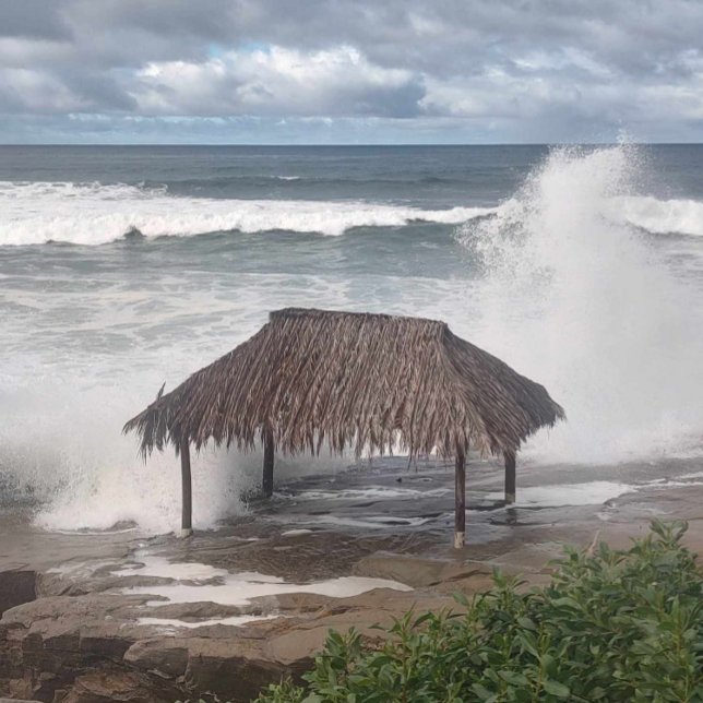 Camiseta Windansea (Criador carregado)