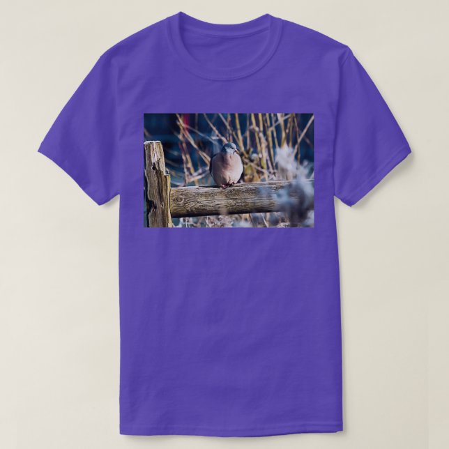 Camiseta Winter Wood Pigeon (Frente do Design)