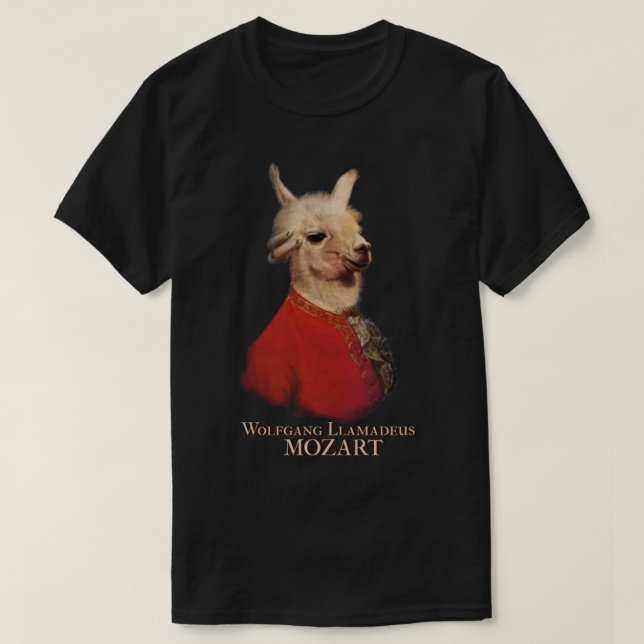 Camiseta Wolfgang Lamadeus Mozart Premium (Frente do Design)