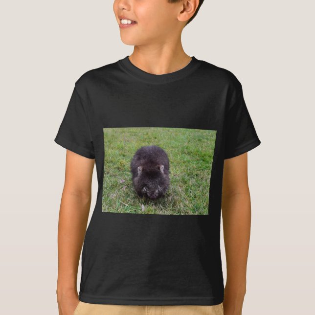 CAMISETA WOMBAT TASMÂNIA AUSTRÁLIA (Frente)