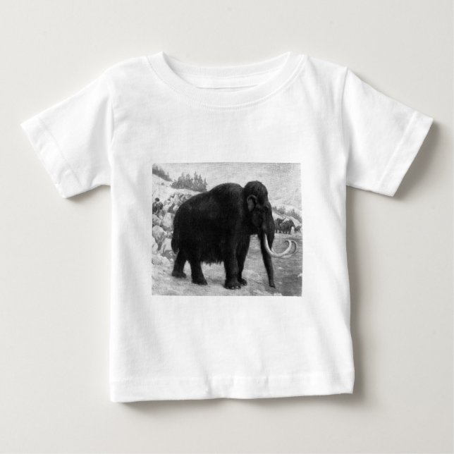 Camiseta Wooly Mammoth Mod Destiny (Frente)