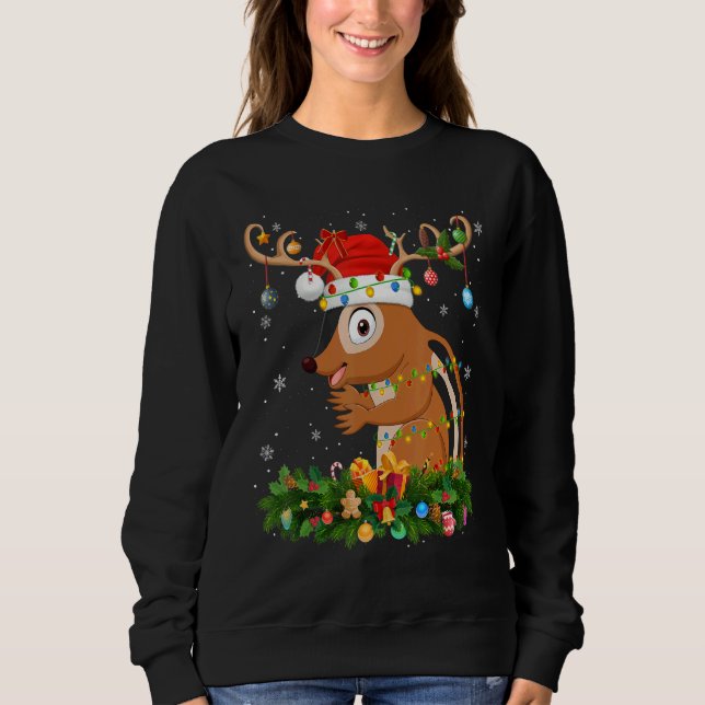 Camiseta Xmas Holiday Reindeer Hat Santa Chipmunk Christmas (Frente)