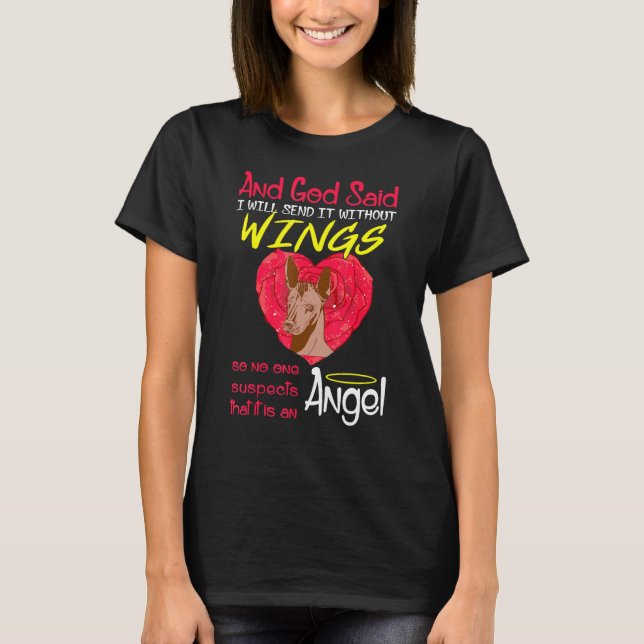 Camiseta Xoloitzcuintli Angel Sem Asas (Frente)