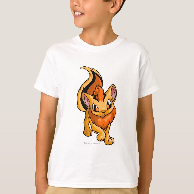 Camiseta Xweetok Orange (Frente)