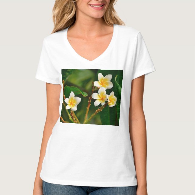 Camiseta Yellow Frangipani (Frente)