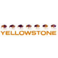 Yellowstone Bison Running