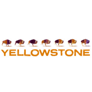 Camiseta Yellowstone Bison Running