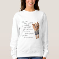 Yorkie Dog cita mulheres