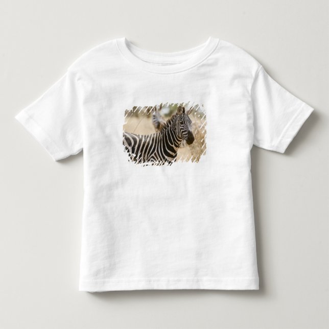 Camiseta Zebra no Parque Nacional de Meru, Quênia. (Frente)
