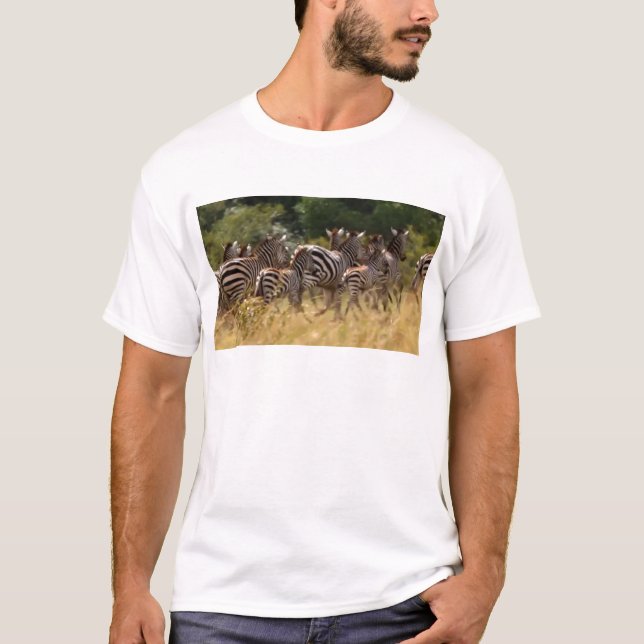 Camiseta Zebras em Movimento: Uma Viagem de Mil Milhas (Frente)